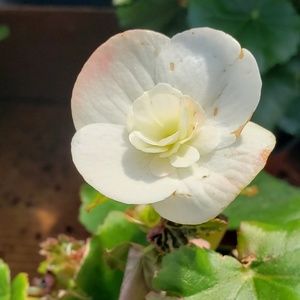 Meet your Posher, Julio